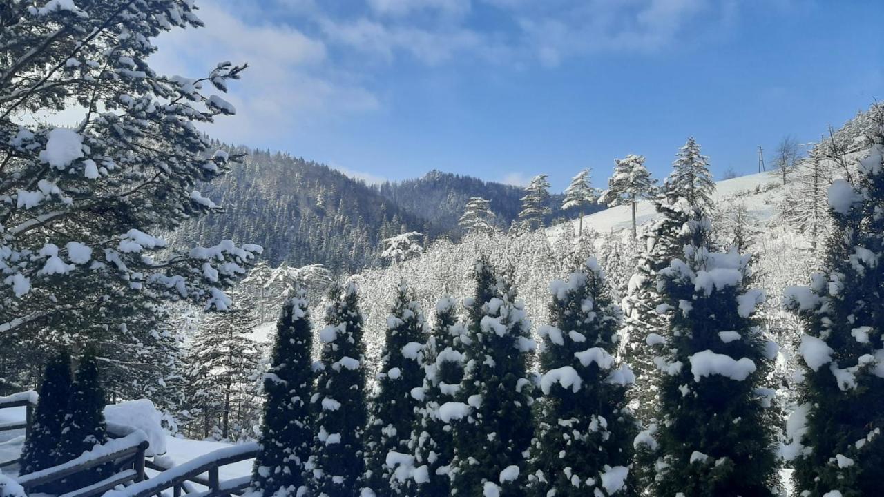 Apartman Suncana Dolina, Zaovine Buitenkant foto